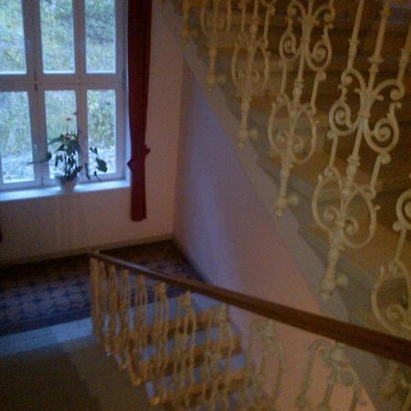Pension Villa Anita Mariánské Lázně Dış mekan fotoğraf